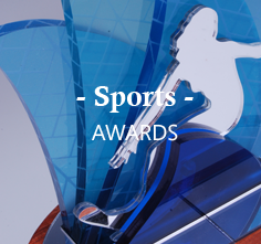 main_home_page_links_sports_surfing_woman.png